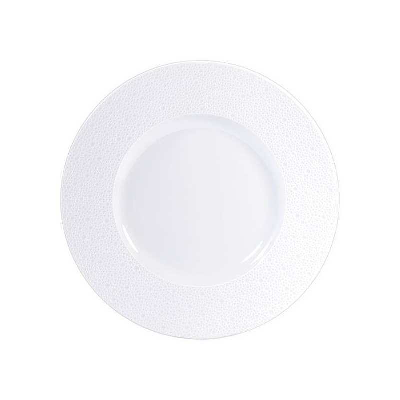 Box 2 presentation plates 0733 20248 Ecume Bernardaud